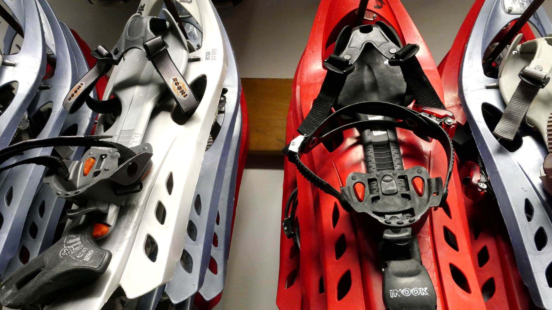 Read more about the article DO YOU KNOW SNOWSHOES?